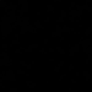 Meet your Posher, Hunter